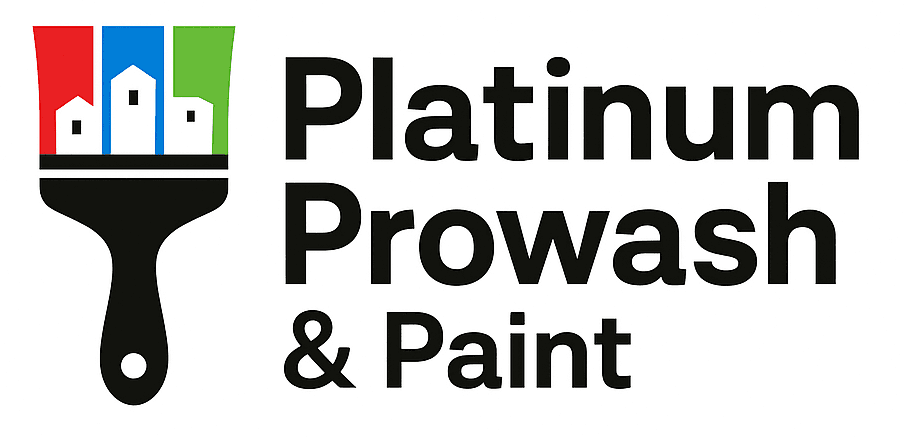 Platinum ProWash & Paint
