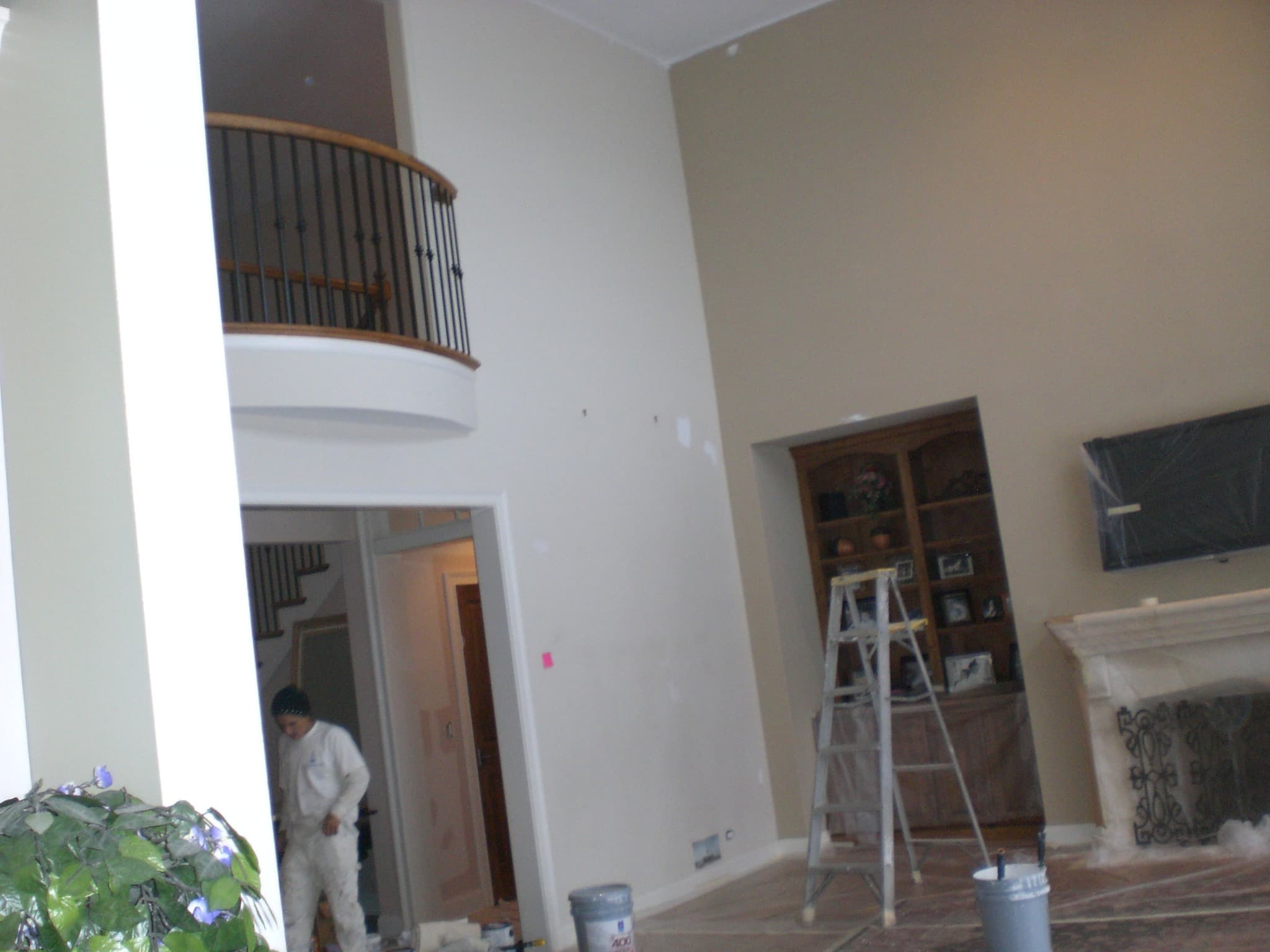 Project by Pro Painting and Restoration