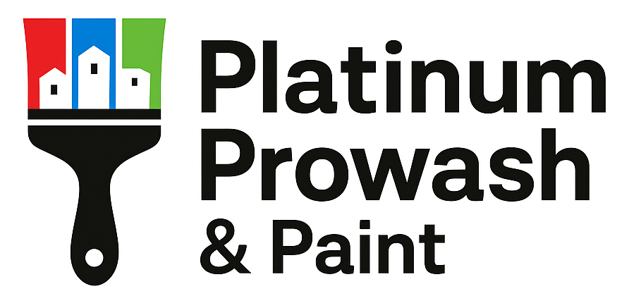 Platinum ProWash & Paint